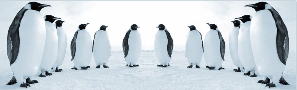OnePoint Image